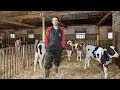 Lely Calm - Automatic calf feeding - Roy Pelgrim