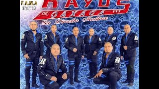Sentimiento De Dolor  (Estreno 2017) Los Rayos De Oaxaca chords