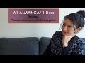 A1 Almanca | 1. Ders: Almanca cümle yapısı | Kişi zamirleri | Düzenli fiil çekimleri