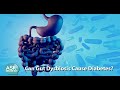 WBT: Can Gut Dysbiosis Cause Diabetes?