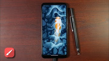 Infinite Painter Tutorial: Koi Fish Illustration made in infinite Painter