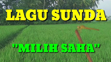 lagu sunda-milih saha