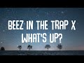 Nicki Minaj 4 Non Blondes Beez In The Trap X What S Up Lyrics