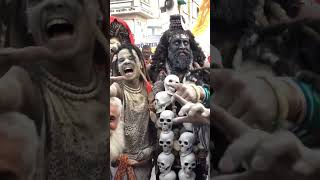 Shiv Ji Jhanki Shorts