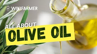 What Happened Last Year In Olive Oil Market?