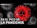 En el pico de la pandemia | #MilenioLive | Programa T3x16 (23/01/2021)