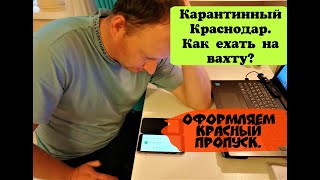 КАК ДОЕХАТЬ НА ВАХТУ/КАК ОФОРМИТЬ КРАСНЫЙ ПРОПУСК/КАРАНТИННЫЙ КРАСНОДАР