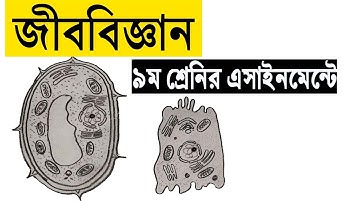 Class 9 Biology Board Assignment 2021 | ৯ম শ্রেণির জীববিজ্ঞান এসাইনমেন্ট || 9th week || class 9 -10