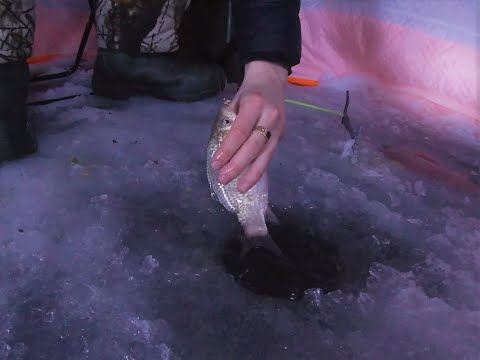 Ночная ловля карася.