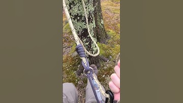 Current Adjustable "MRS" Bridge Design for Saddle Hunting