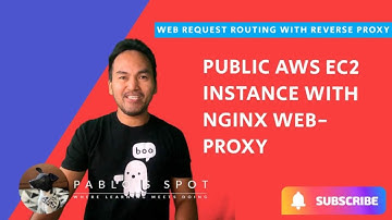 Infrastructure Code for Public AWS EC2 Instance with NGINX web proxy in Docker