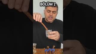 Asma Dalında Garantili Köklendirme 2