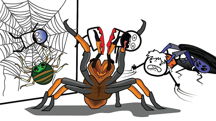 What It's Like To Fight The Deadliest Spiders