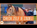 Check zelf je zadel!