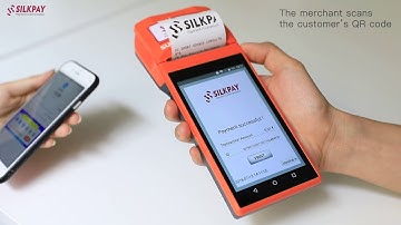 Alipay and WeChat Pay payments via POS terminal