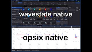 KORG Wavestate Native - KORG Opsix Native - 2 NEW VSTs - Let’s Check Them Out