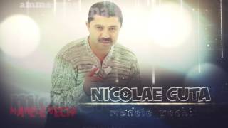 Nicolae Guta - In tara, in tara