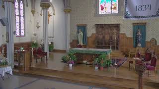16th Sunday in Ordinary Time
