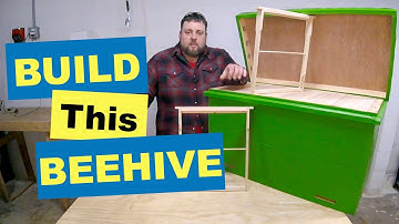 🐝 How to build a Layen