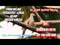 Masteran 1 jam full pancingan perkutut lokal di jamin ikutan gacor sudah terbukti #perkutut