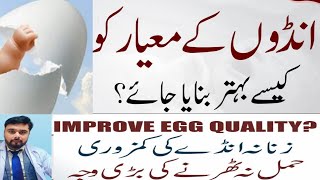 Can Female Eggs Be Increased? AMH test rile | Improve Egg Quality Naturally &amp; Medicines | Dr Imran