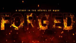 Fatherhood Lessons from Mark 2: Discernment, Compassion, Perspective