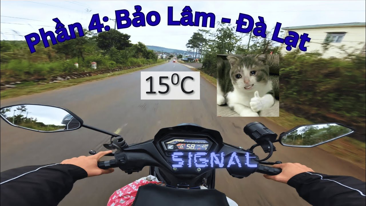 Chuyến Đi Đà Lạt Tháng 12 – Từ Bảo Lâm Chạm Ngõ Đà Lạt Trong Cái Lạnh Cao Nguyên | Phần 4