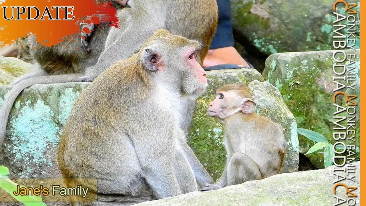 Janna's Eyes Talking....Janna Stared At Her As She Wants to Tell Something