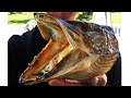 How To Mount A Pike Head!