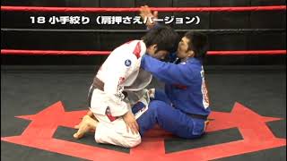 Daisuke Sugie - Winning Grappling Jiu-Jitsu Bjj Elite - 1. Gi Demonstration