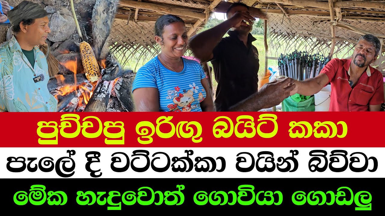 Pumpkin Wine?! A Farmer’s Secret Brew | Nothing Goes to Waste