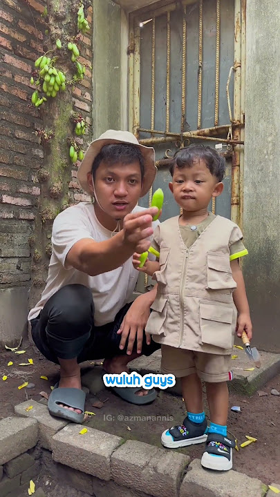 KETIKA BAYI PANEN BUAH DI HUTAN KAKEK
