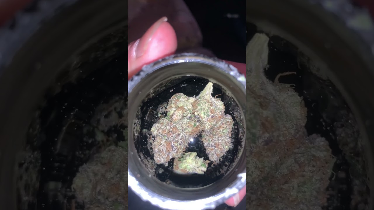 TERPY TIME TASTE BUDS - NEW DROP!!!! - ALIEN LABS - PLANET RED 