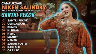 NIKEN SALINDRY 'SANTRI PEKOK' - FULL ALBUM VIDEO TERBARU 2023 - NIKEN SALINDRY CAMPURSARI