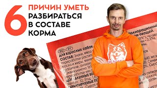 Выбор корма для домашних питомцев. На что обязательно надо обратить внимание.