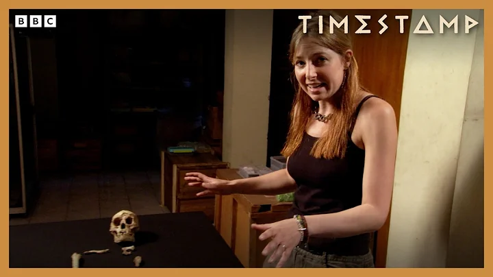 'Startling' Discovery Of Tiny Ancient Human Species | BBC Timestamp