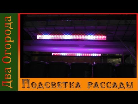 Чем подсветить рассаду