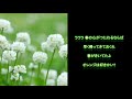 オレンジ村から春へ りりィ【cover】