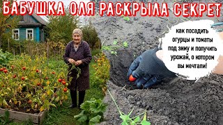 :         ,    !