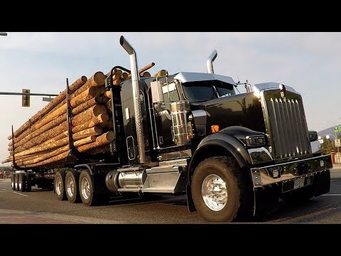 JF LOGGING TRUCKS 15 & 31 LOADED / KENWORTH W900B / HOT SUMMER NIGHTS  / LOGGING TRUCKS #45