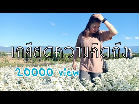 เกลียดความคิดถึง เก้า-เกริกพล