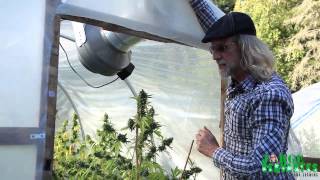 Small Green House Tour with Jorge Cervantes