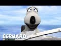 Bernard Bear | The Motorboat AND MORE | 30 min Compilation | Cartoons for Children