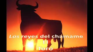 Video thumbnail of "Chamame el toro"