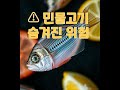 중장년층이 꼭 알아야 할 민물고기의 숨겨진 위험 | 간흡충 완전 가이드