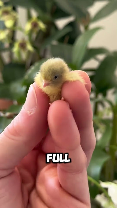 Isn't that cute? ❤️