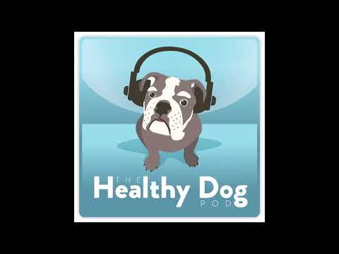 Episode 25 Dr Cherlene Lee of My Vet Waterloo