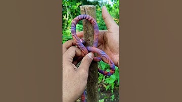 An In-Depth and Easy Rope Knot Walkthrough With Simple Instructions and Practical Tips #knot #shorts