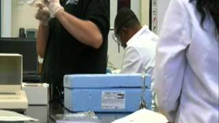 SOS_Science of Succeess...LATTC Chemical Technology