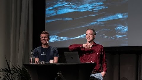 Network Fingerprinting - Erik Hjelmvik and Jonas Lejon